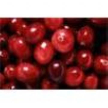 Cranberry Extract